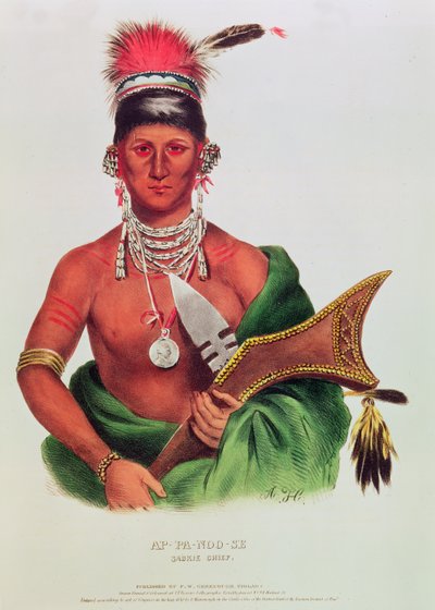 Ap-Pa-Noo-Se, Saukie Chief by American School